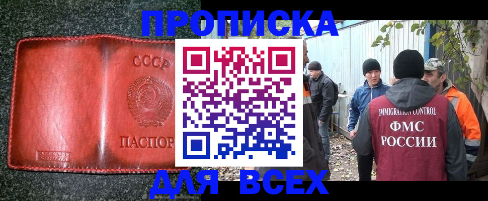 временная регистрация поиск в Коле